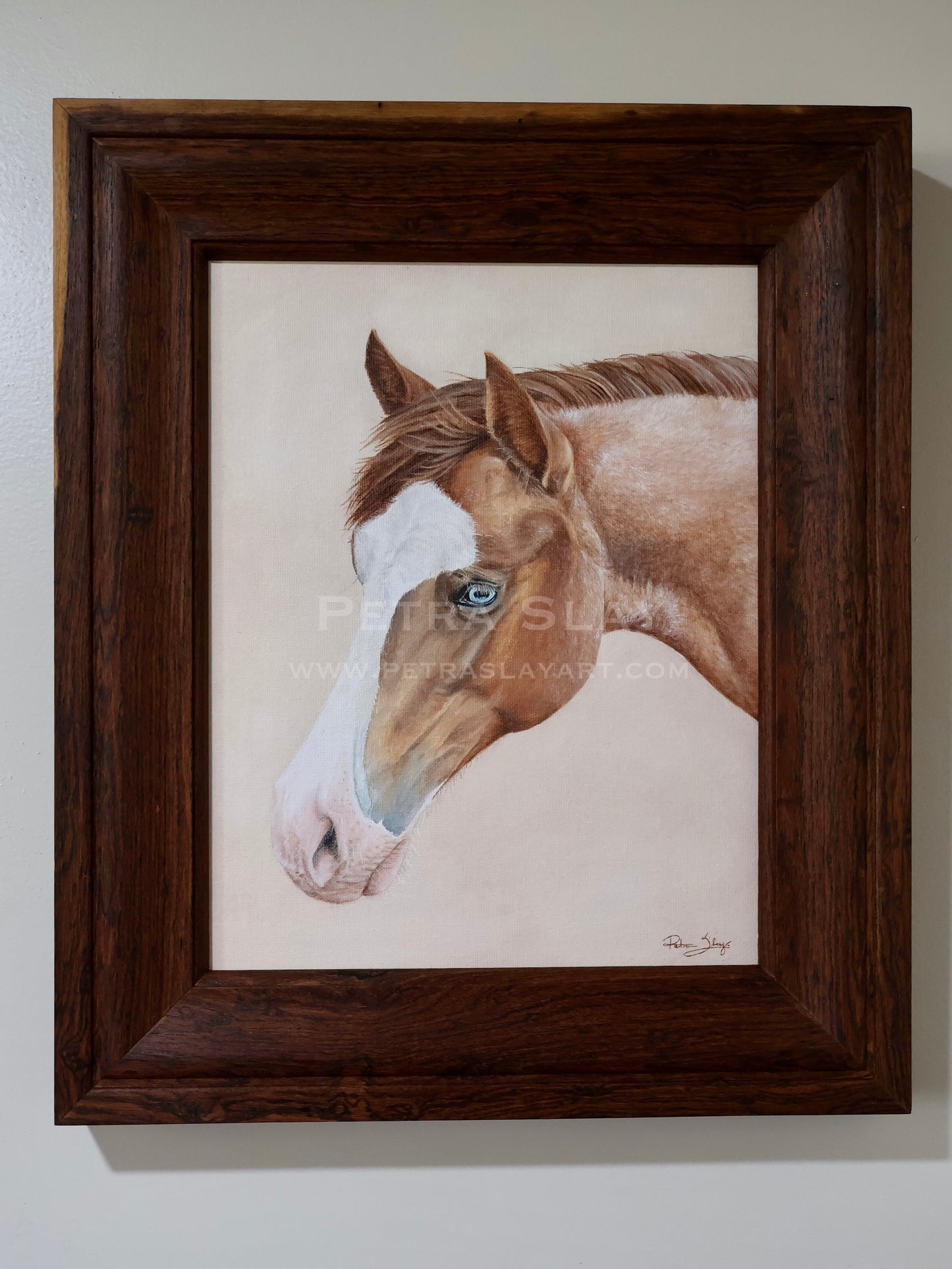 “Portrait Of A Blue Eyed Filly”