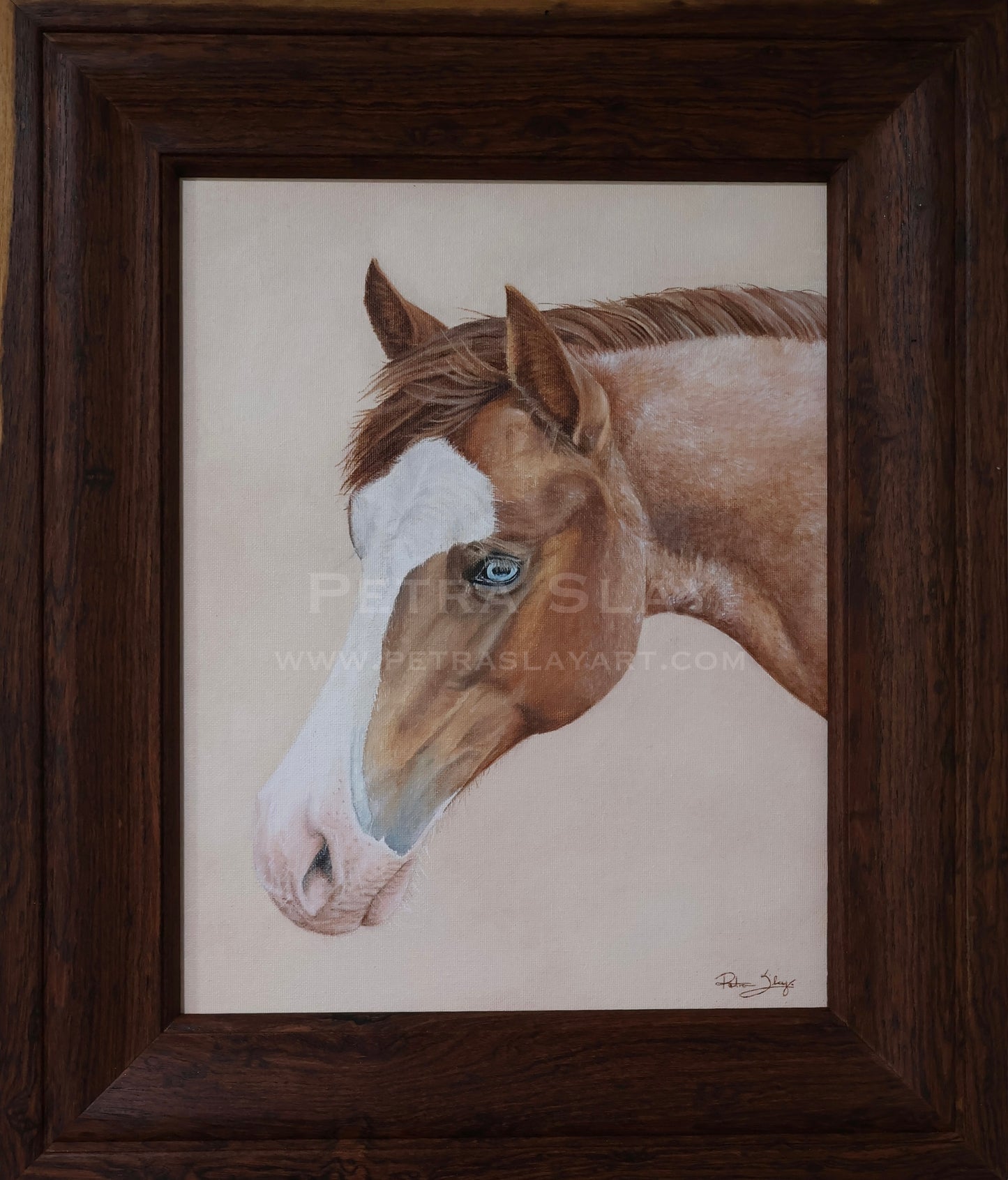 “Portrait Of A Blue Eyed Filly”